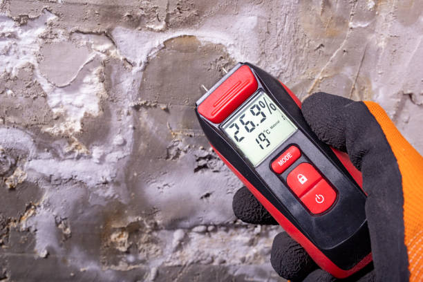 Mold Removal and Inspection in Milford, IN
