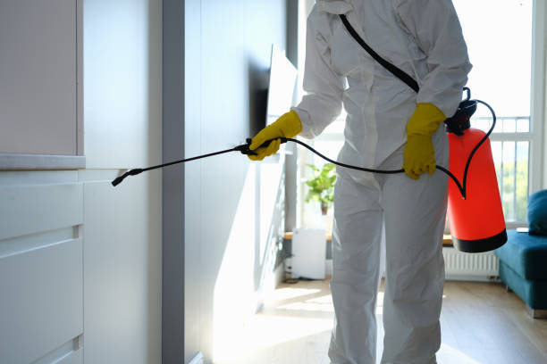 Best Mold Remediation  in Milford, IN