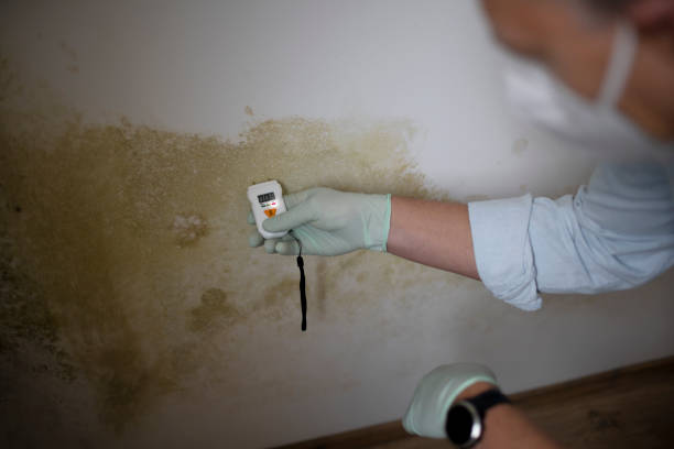 Best Crawl Space Mold Removal  in Milford, IN